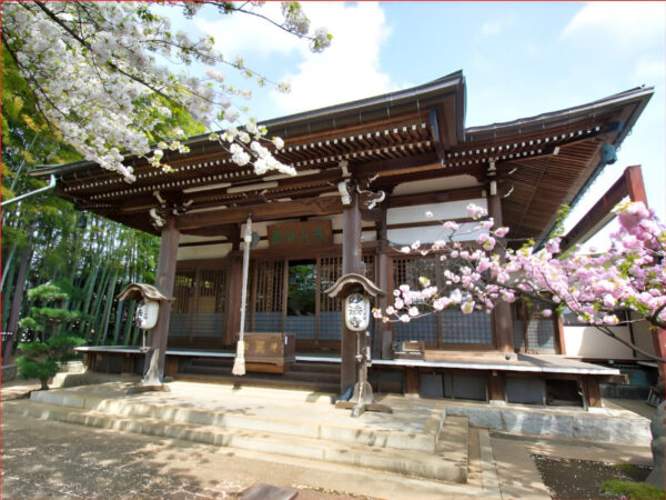 成城しだれ桜墓苑　妙法寺本堂